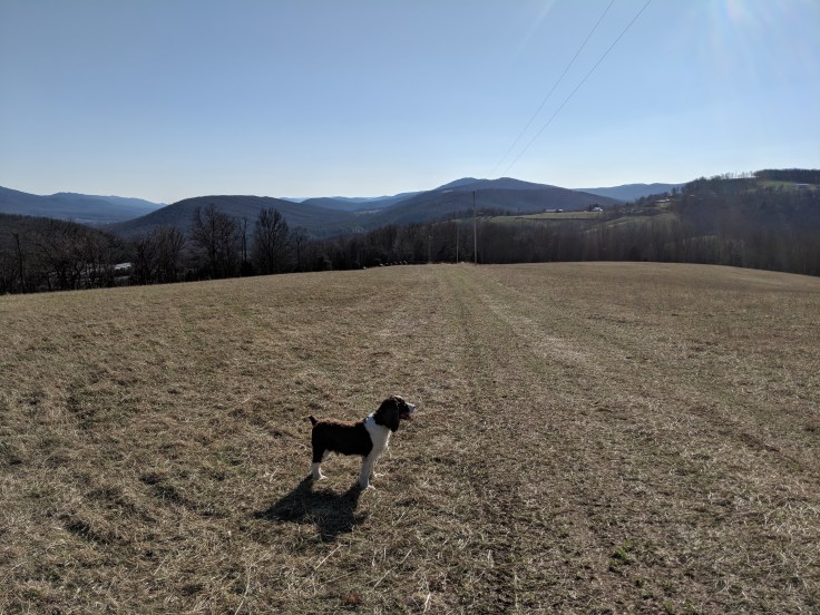 IMG_20180304_154101 (2).jpg