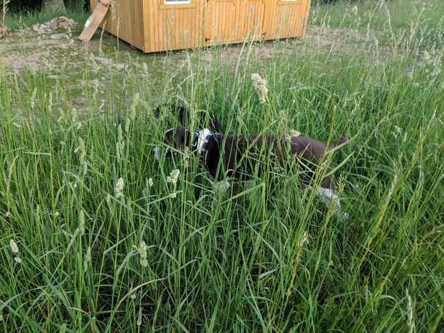 Maker:S,Date:2017-9-21,Ver:6,Lens:Kan03,Act:Lar02,E-Y