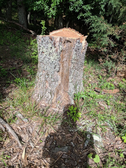 Maker:S,Date:2017-9-21,Ver:6,Lens:Kan03,Act:Lar02,E-Y