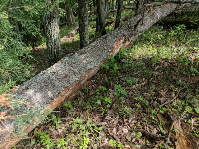 Maker:S,Date:2017-9-21,Ver:6,Lens:Kan03,Act:Lar02,E-Y